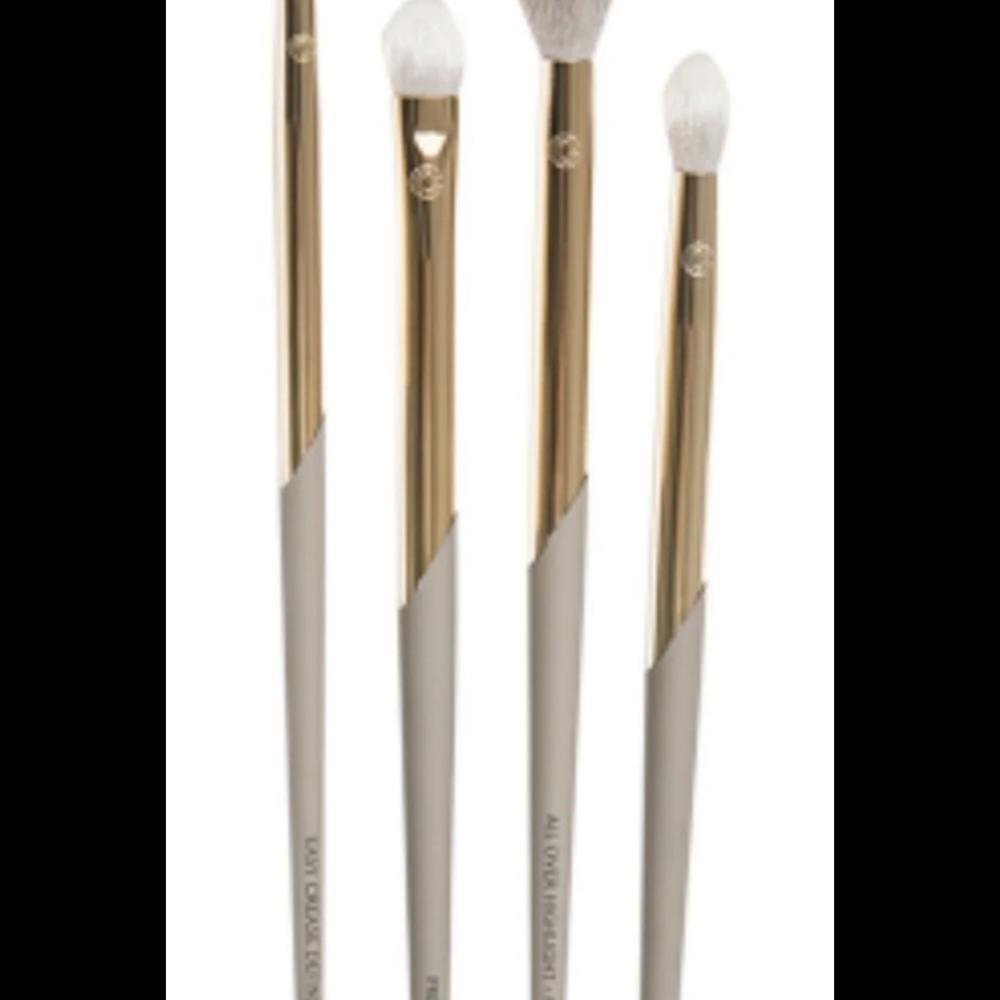 Complex Culture 4 piece Pro Eyeshadow Brush set
